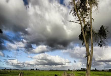 生活类科普小知识手抄报内容:让孩子爱上科学,轻松掌握生活常识