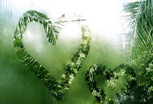 科普视频配乐全攻略:如何用音乐提升传播效果与规避版权风险