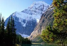 生活科普视频大全素材无水印:轻松制作专业科普内容,告别水印烦恼