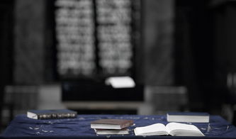 最全的生活百科知识大全下载：让生活难题变从容，一键掌握万能生活技巧