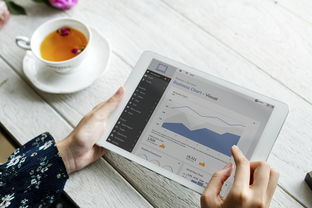 科普生活常识素材视频播放：轻松掌握实用技巧，提升生活品质